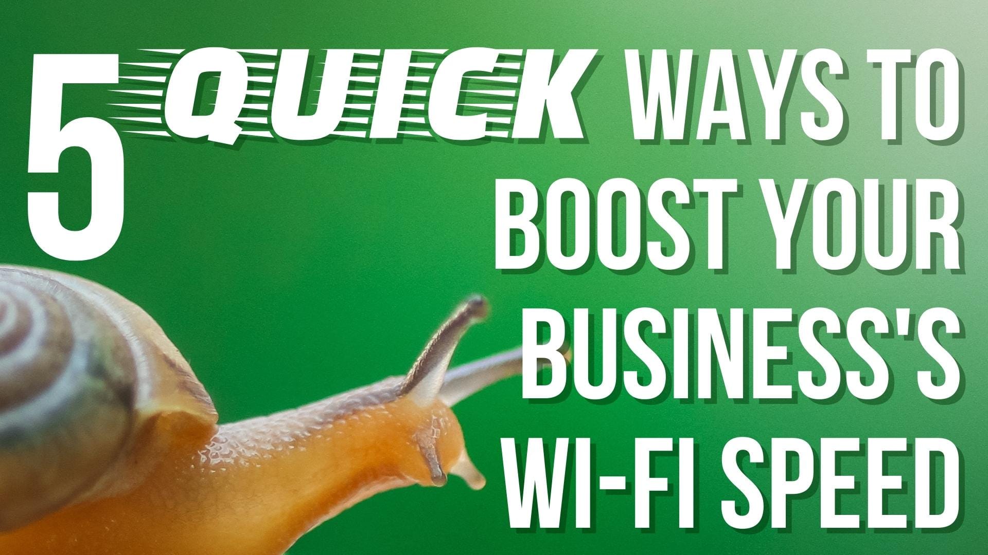 business wi-fi